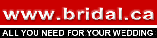 toplogo4.GIF (6977 bytes)